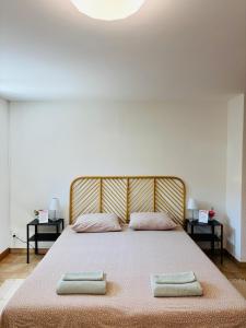 a bedroom with a large bed with two pillows at Ca' dal Bagatt Losone Campagna in Losone
