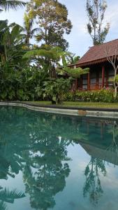 a house and a swimming pool in front of a house at ChannaS villas in Payangan