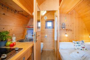 a small kitchen in a tiny house at Hausboot Captain Hook in Stralsund