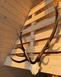a deer antlers hanging from the ceiling of a log cabin at Strefa Czasu Skorzęcin in Skorzęcin