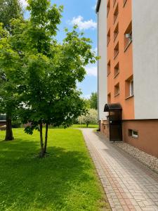a tree in the grass next to a building at Apartament Wisła Centrum in Wisła