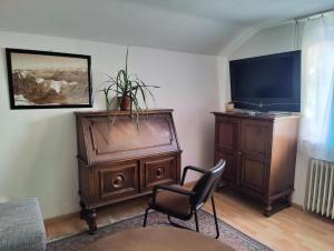 a living room with a chair and a television at Abendsonne in Saulgrub