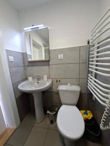 a bathroom with a toilet and a sink at Chatka przy kapliczce in Bugaj
