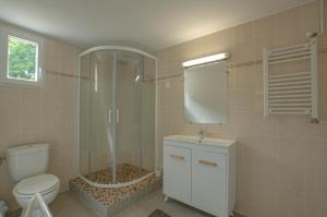 a bathroom with a shower and a toilet and a sink at Le gite de la cea in Saint-Mards-en-Othe
