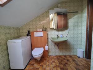 a bathroom with a toilet and a sink at Abendsonne in Saulgrub +18 photos