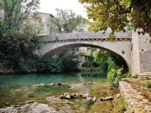 a bridge over a river with ducks in the water at Studio Agave in Correns