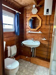 a bathroom with a toilet and a sink at Haus Seerobbe-Blockhaus im Garten in Fehmarn