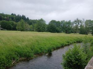 a river in a field next to a grassy field at Sur l'Oneux in Hotton