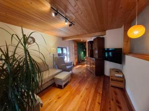 a living room with a couch and a tv at River House Mojstrana in Mojstrana