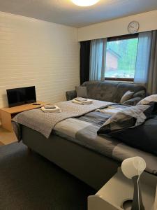 a bedroom with a bed and a couch and a window at Kangaskartano in Keitelepohja