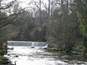 a waterfall in the middle of a river at Quay Cottage in Cramond +18 photos