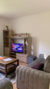 a living room with a couch and a flat screen tv at Apartman Dream in Foča