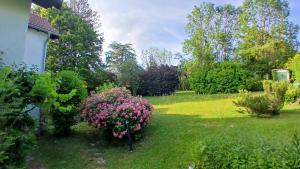 a garden with pink flowers in the grass at Le chant des roses in Giverny