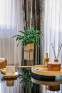 a potted plant on a shelf in front of a window at Apartman Centar in Teslić