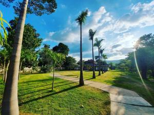 a row of palm trees in a park at Khla Lodge in Kampot