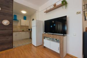a living room with a large flat screen tv at Old Town Smârdan Apartment - Central Lively Area in Bucharest