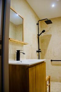 a bathroom with a sink and a shower at Château Lagelouse in Mimbaste