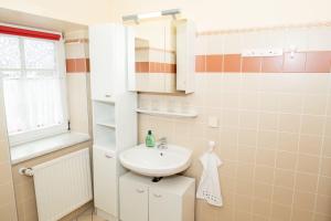 a bathroom with a sink and a mirror at BergZeit Apartments in Spital am Semmering