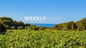 a field of vines with the ocean in the background at Masia Sitges Mas Peirot Geniune Farmhouse 20 min walk from beaches 60 Heactares of Wine Fields Garden AC Until 18 people in Cubelles