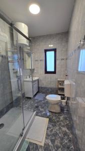 a bathroom with a shower and a toilet and a sink at Apartment Labin in Labin +25 photos