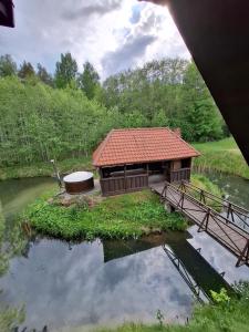 a small building on an island in a river at Forest House in Pašvinės