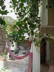 a hammock hanging from a wall in a courtyard at Plantier Guesthouse in Figueira de Castelo Rodrigo