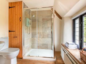 a bathroom with a shower and a toilet at Apartment The Appleloft suite by Interhome in Holsworthy +7 photos