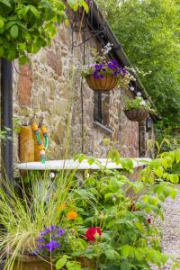 a garden with flowers and plants in front of a building at Apartment The Appleloft suite by Interhome in Holsworthy