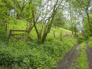 a dirt road in a field next to a fence at Apartment The Appleloft suite by Interhome in Holsworthy