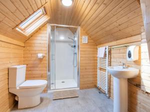 a bathroom with a shower and a toilet and a sink at Chalet Beekeepers Bothy by Interhome in Coldstone