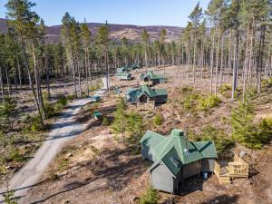 an aerial view of a forest with trees at Chalet Beekeepers Bothy by Interhome in Coldstone