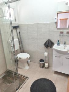 a bathroom with a shower and a toilet and a sink at Slanraj apartman in Jadrtovac