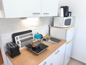 a kitchen counter with a sink and a microwave at Slanraj apartman in Jadrtovac +20 photos