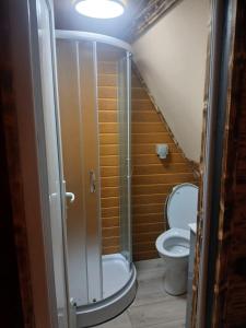 a bathroom with a shower and a toilet at Maria's Cabin & Spa in Băiaşu +21 photos