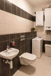 a bathroom with a toilet and a sink at Apartman Pred polom in Trenčín +23 photos
