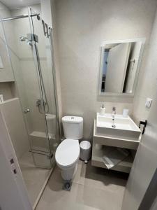 a bathroom with a toilet and a sink and a shower at Biscoutsis Apartments & Studios in Kavos +45 photos