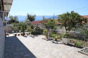 a courtyard with trees and potted plants at A&B Berat in Berat