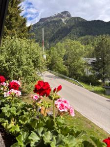 a bunch of flowers on the side of a road at Irmas Ferienhäusl in Längenfeld