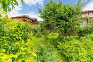 a garden in front of a building at Casa Buga in Telega