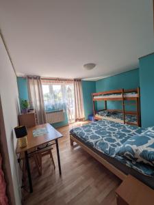 a bedroom with a bed and a desk and a bed sidx sidx sidx at Noclegi u Kanara in Lutowiska