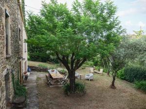 a tree in a yard next to a building at Les Boissèdes in Les Vans