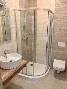 a bathroom with a shower and a sink and a toilet at Villa Rowena in Rowy +10 photos