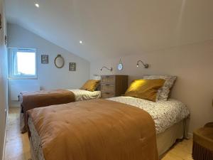a bedroom with two beds in a room at Maison Fontanille in Le Puy-en-Velay