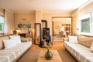 a living room with a couch and a fireplace at Ferienhaus Sonneneck in Kluis