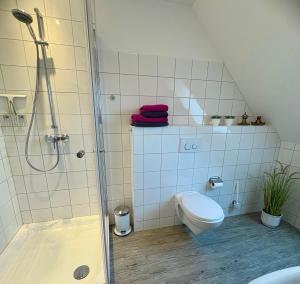 a bathroom with a shower and a toilet and a sink at Alte Schule Breese in Dannenberg +5 photos