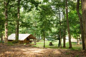 a tent in the middle of a forest of trees at Camping Onlycamp Le Port in Saint-Benoît-sur-Loire