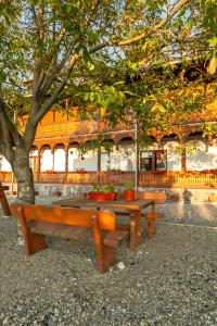 a picnic table under a tree in front of a building at Pensiunea la Tăuț in Călineşti