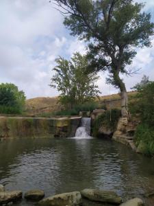 a pond with a waterfall and a tree in the middle at Gran Reserva Cuzcurrita in Cuzcurrita-Río Tirón