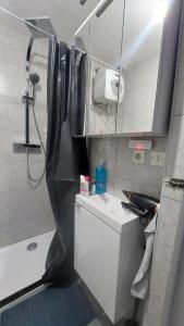 a small bathroom with a shower and a sink at Cozy studio apartment with 2 beds and kitchen in Audun-le-Tiche