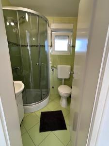 a bathroom with a shower and a toilet and a sink at Apartments Duda in Vir +38 photos
